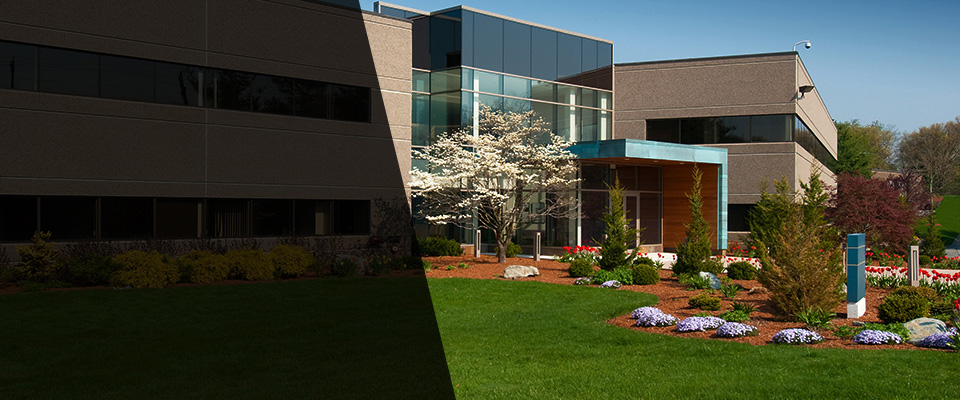 Silverthorne Landscapers