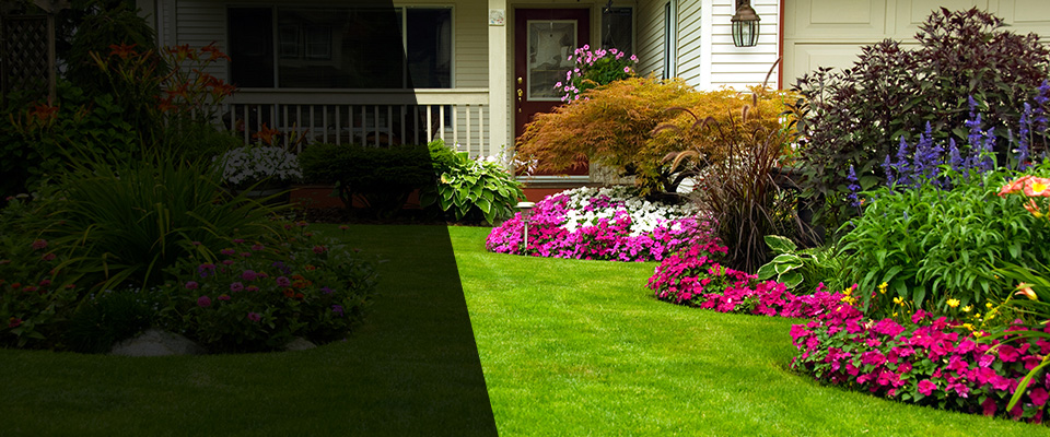 Silverthorne Landscapers