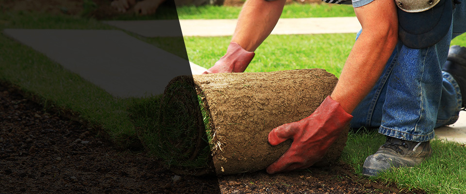 Silverthorne Landscapers